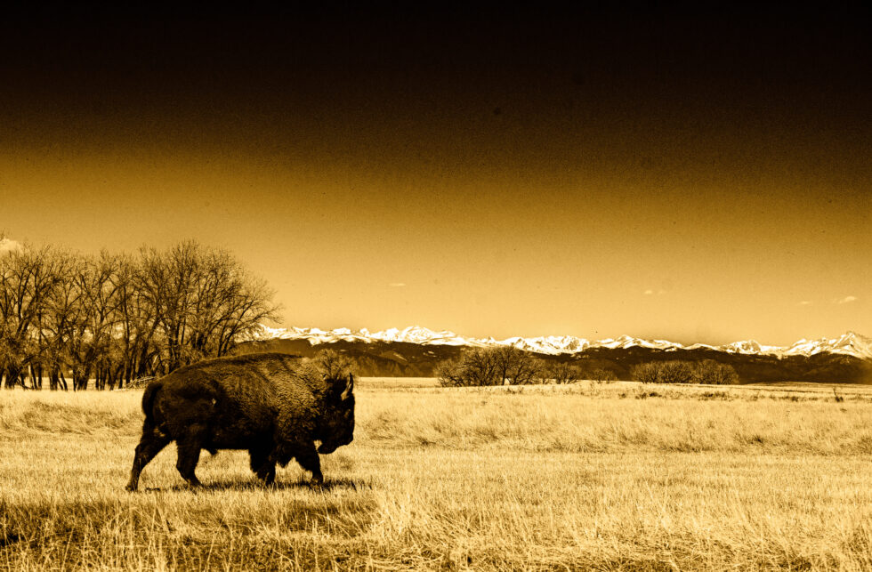 Landscapes Colorado #1