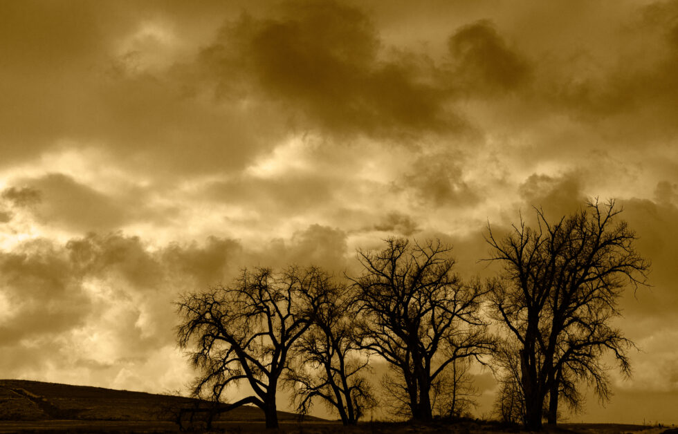 Landscapes Colorado #5