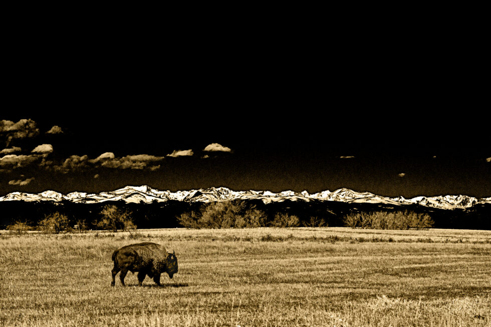 Landscapes Colorado #7