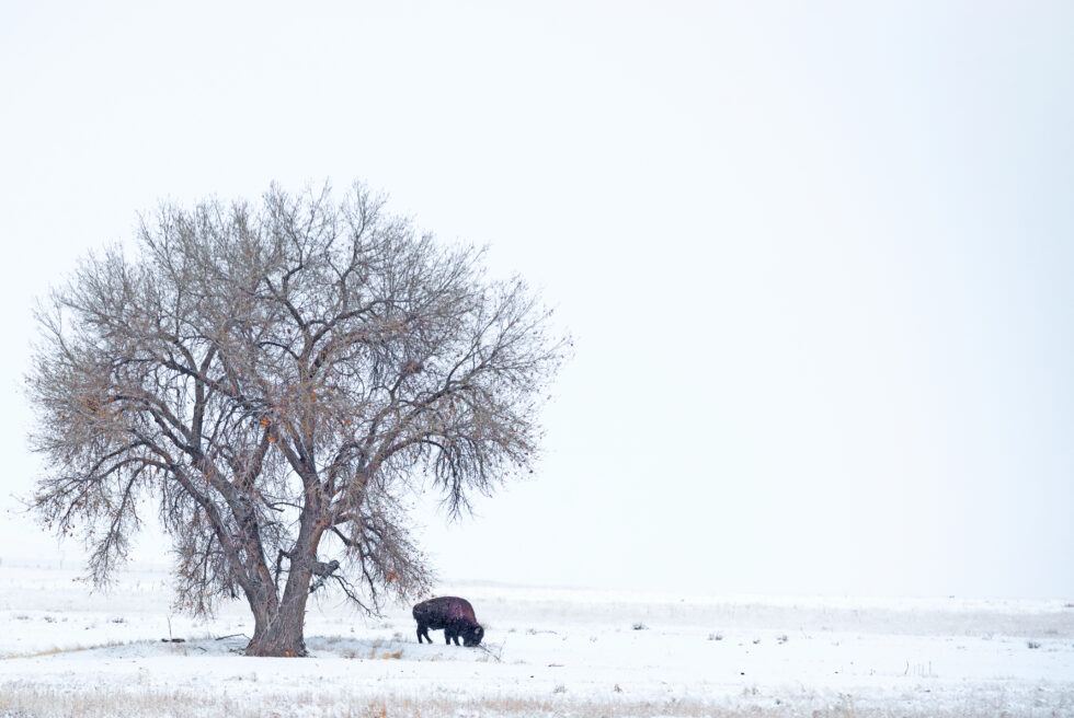 Landscapes Colorado #11