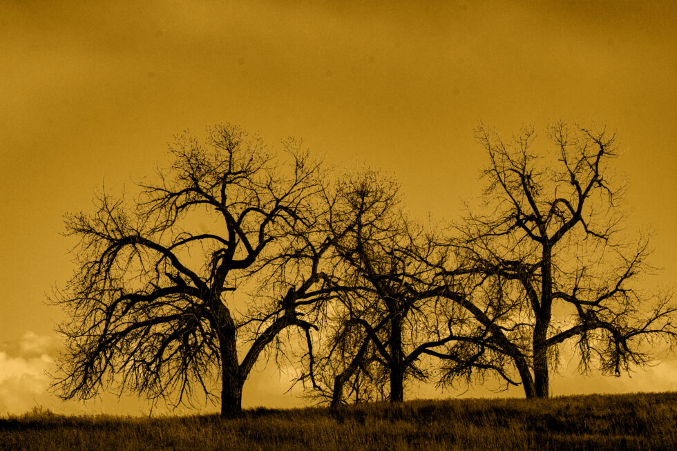 Landscapes Colorado #12