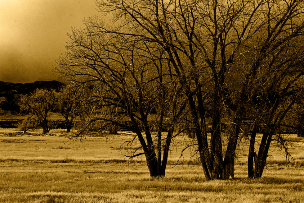 Landscapes Colorado #13