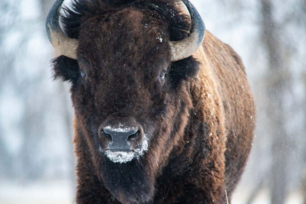 Landscapes Colorado #14