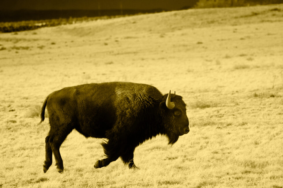 Landscapes Colorado #15