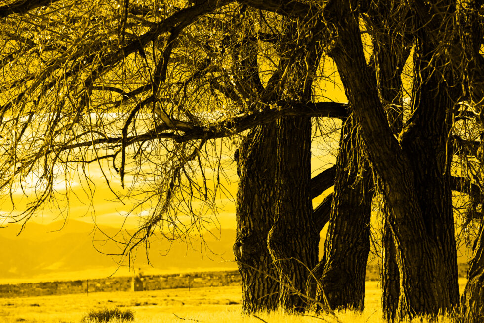 Landscapes Colorado #9