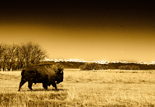 Landscapes-Colorado-Gallery-Cover